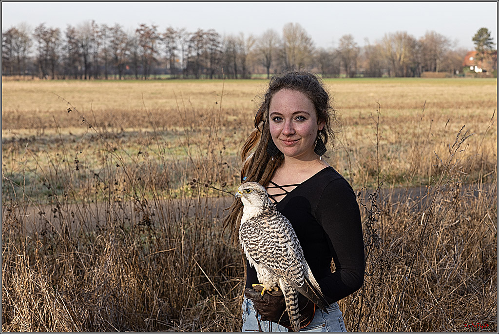 Cheyenne-Halbblut Hunting Wolf in der Falknerei Pierre Schmidt; Gymnich, 09.02.2023